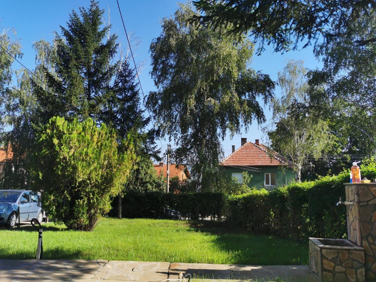Vila Breza Сокобаня Экстерьер фото