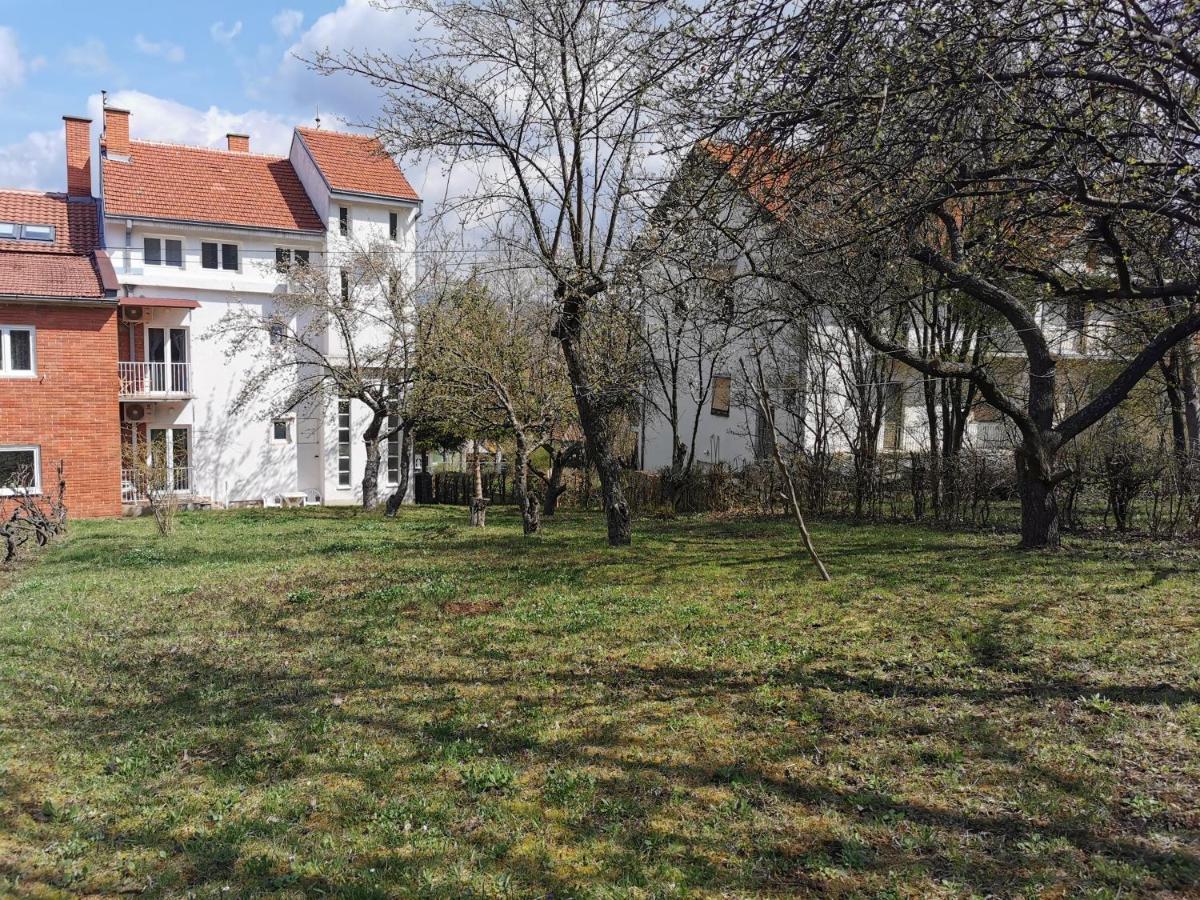 Vila Breza Сокобаня Экстерьер фото