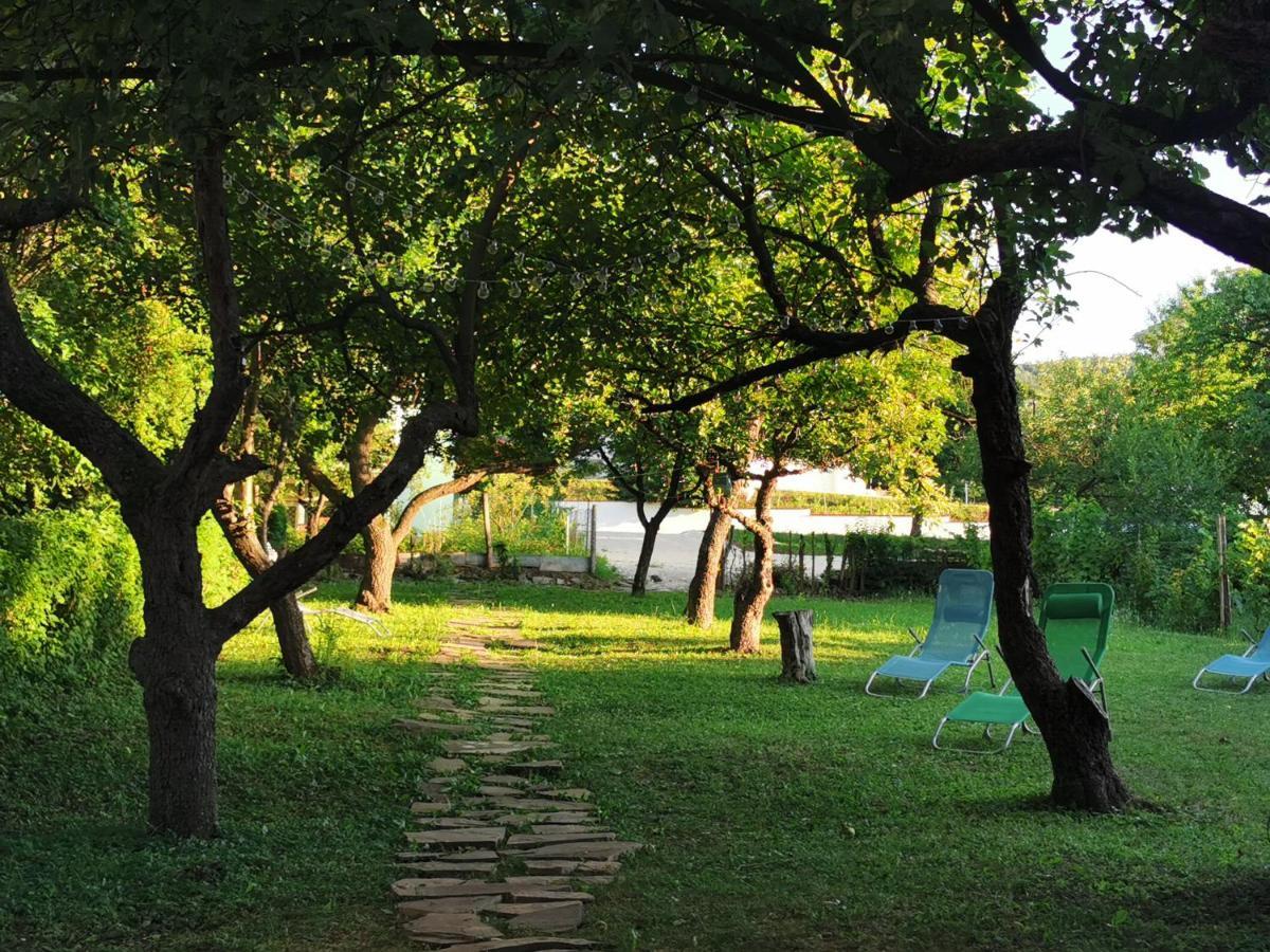 Vila Breza Сокобаня Экстерьер фото
